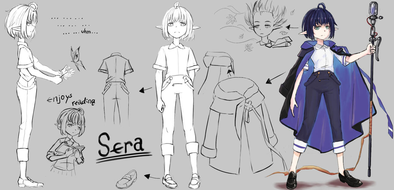 Sera design (old version)